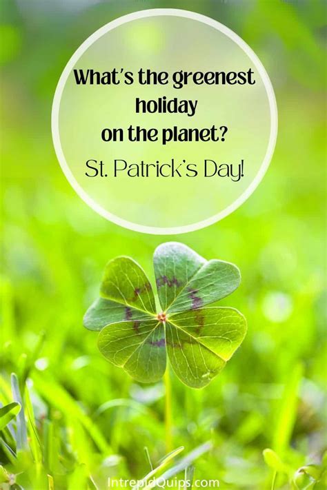 120 Best St. Patrick’s Day Captions 2024: Catchy, Funny & Cute .